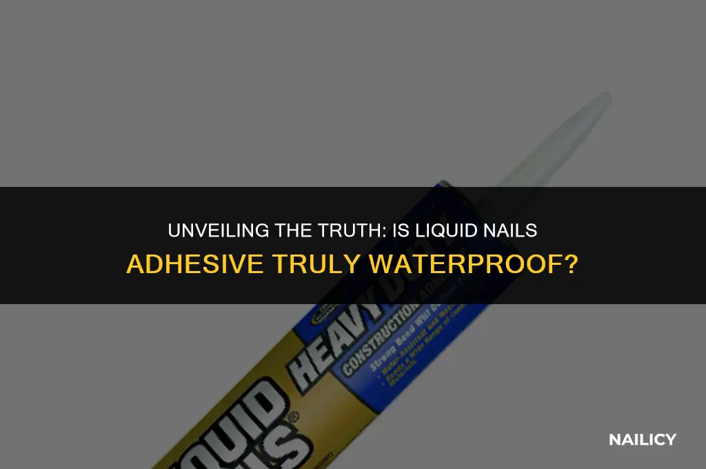 is liquid nails adhesive waterproof