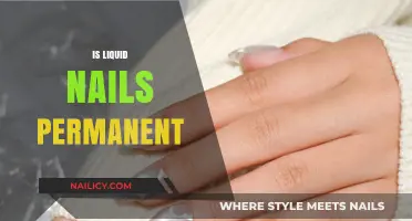 The Longevity of Liquid Nails: A Comprehensive Guide