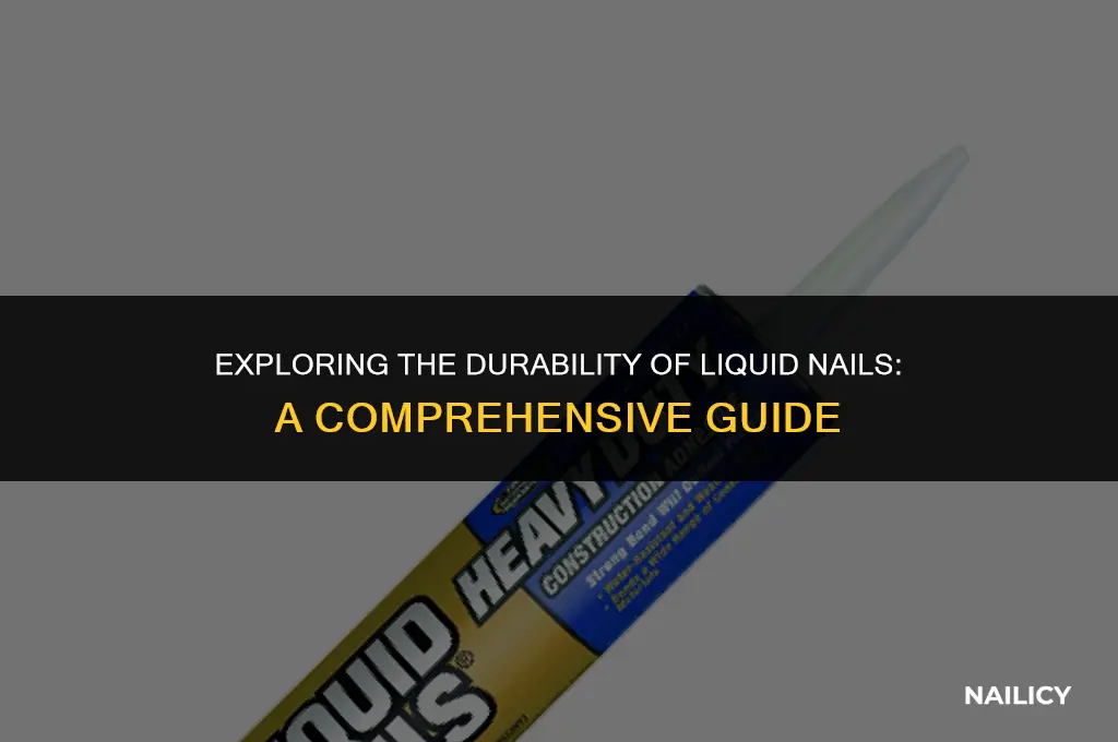 is liquid nails stainable