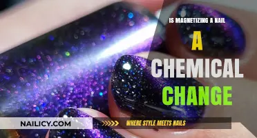 Magnetizing a Nail: Chemical Change or Physical Transformation?