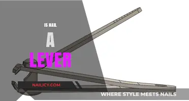 Exploring Simple Machines: Is a Nail Really a Lever?