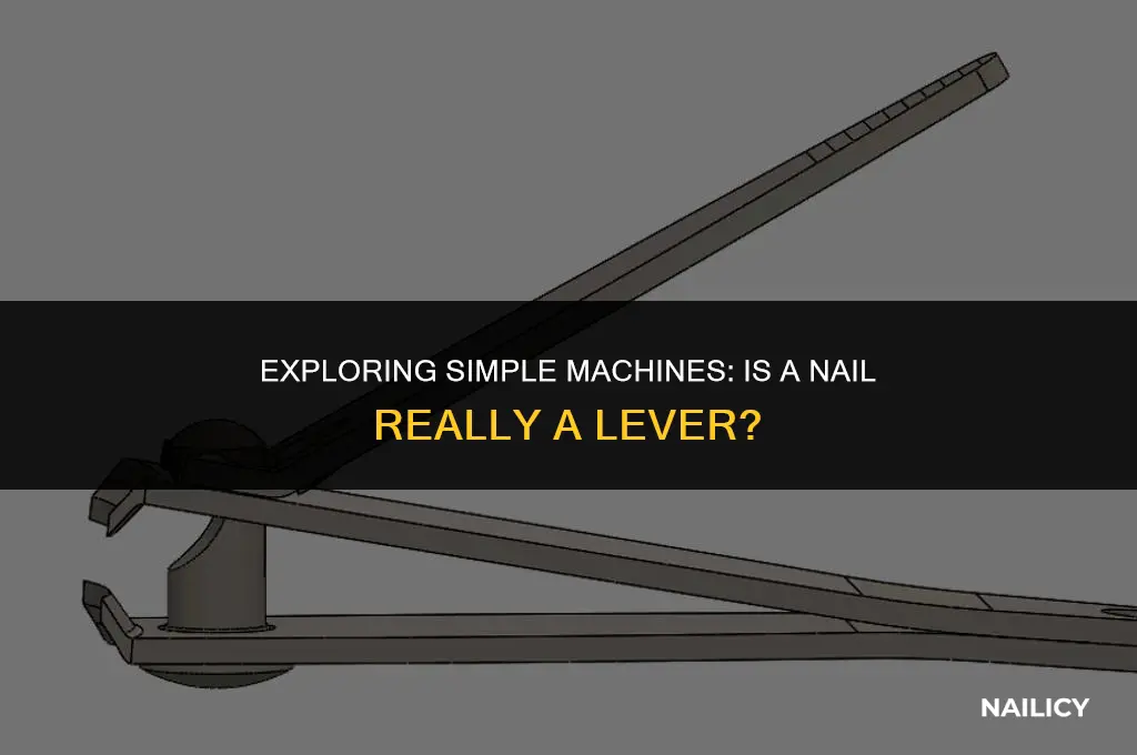 is nail a lever