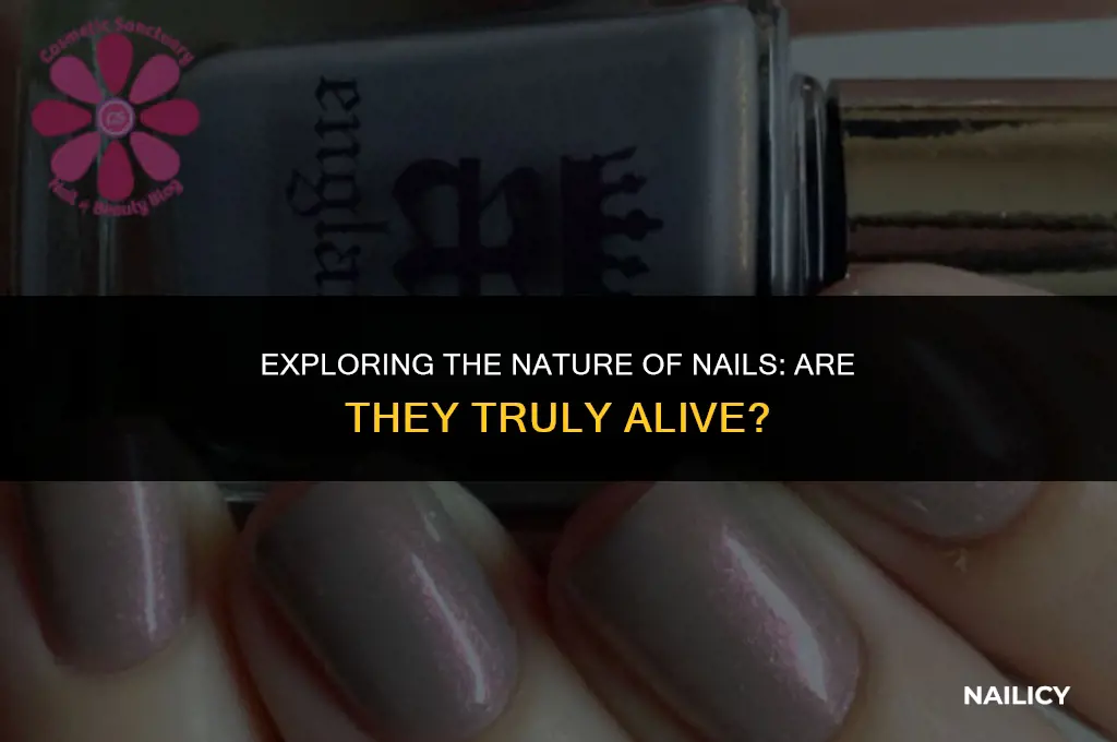 is nail a living thing