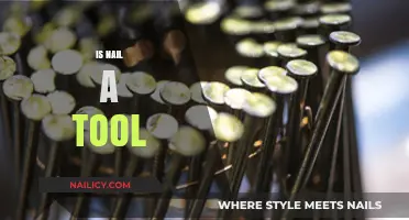 Exploring the Versatility of Nails: Beyond Just a Tool