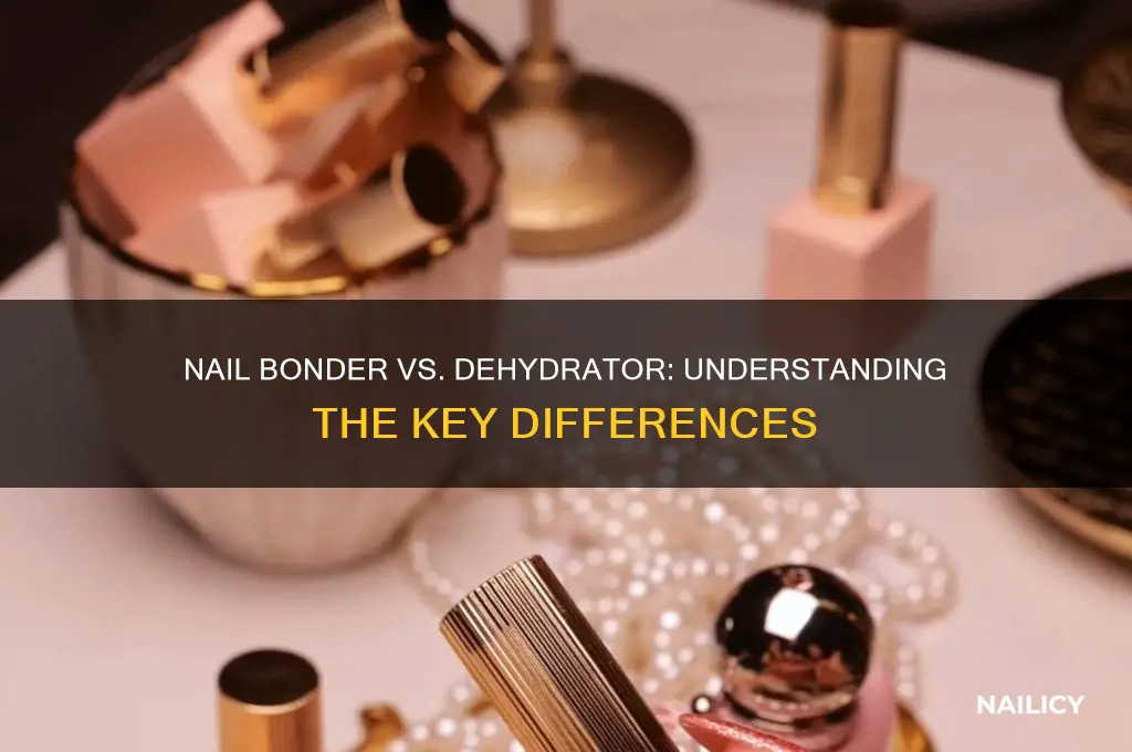 is nail bonder and dehydrator the same thing