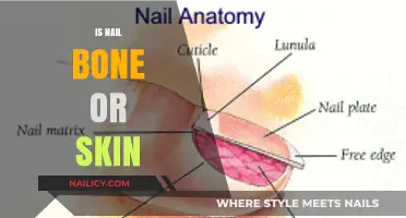 Unveiling the Truth: Is Your Nail Bone or Skin?