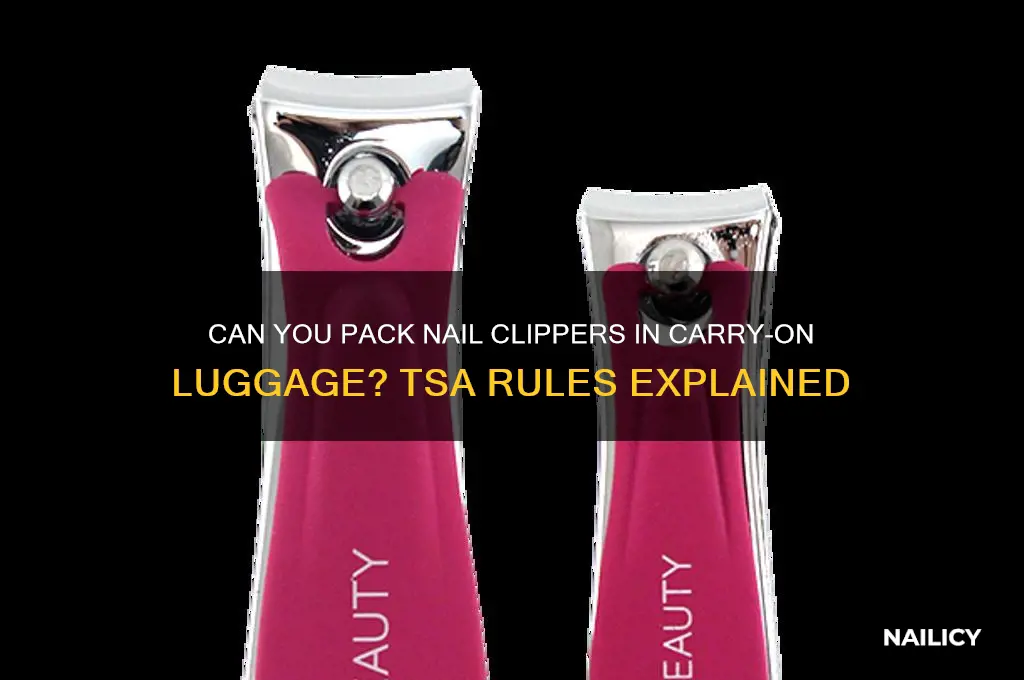 is nail clipper allowed in carry on