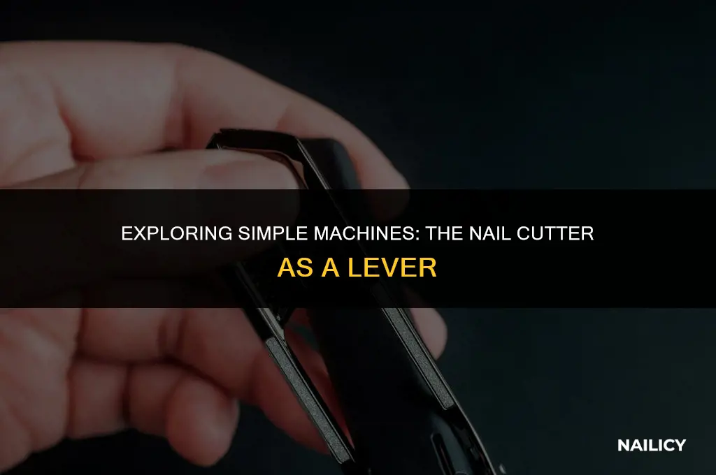 is nail cutter a lever
