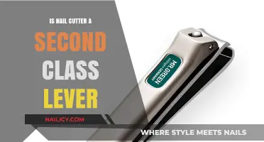 Is a Nail Cutter a Second-Class Lever? Exploring the Mechanics