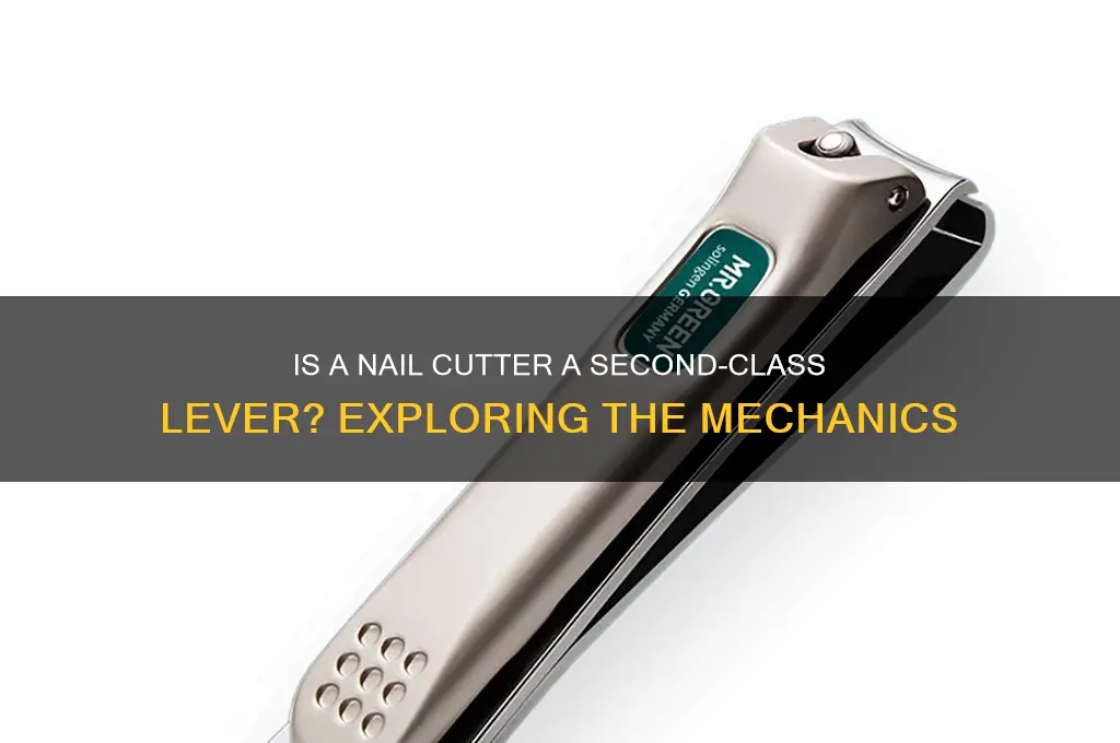 is nail cutter a second class lever