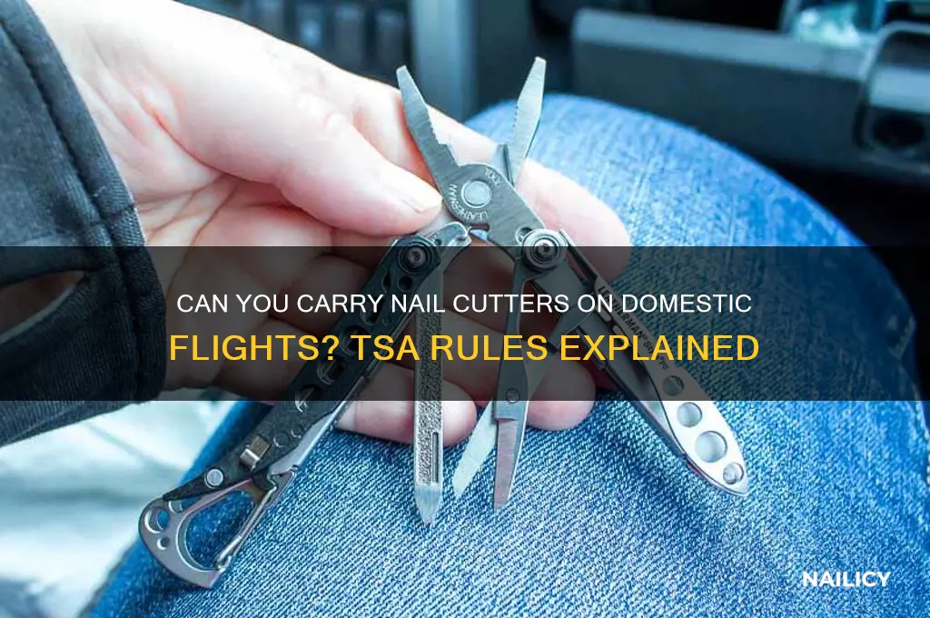 Can You Carry Nail Cutters On Domestic Flights? Tsa Rules Explained
