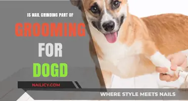 Nail Grinding for Dogs: Essential Grooming or Optional Care?