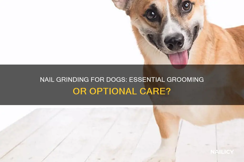 is nail grinding part of grooming for dogd