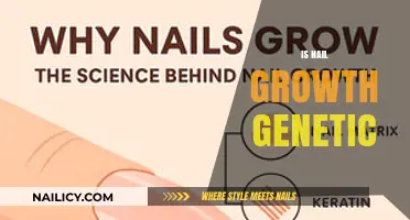 Unveiling the Genetic Secrets Behind Nail Growth