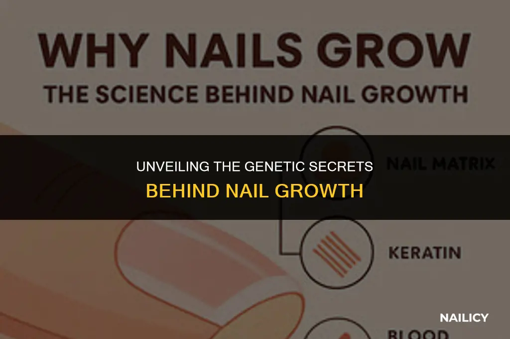 is nail growth genetic