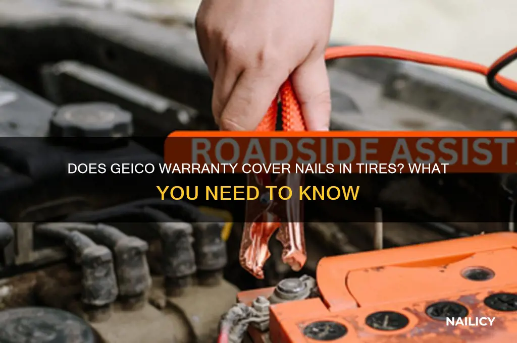 is nail in tire covered under warranty gieco