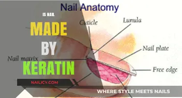 The Surprising Truth: Are Your Nails Really Made of Keratin?
