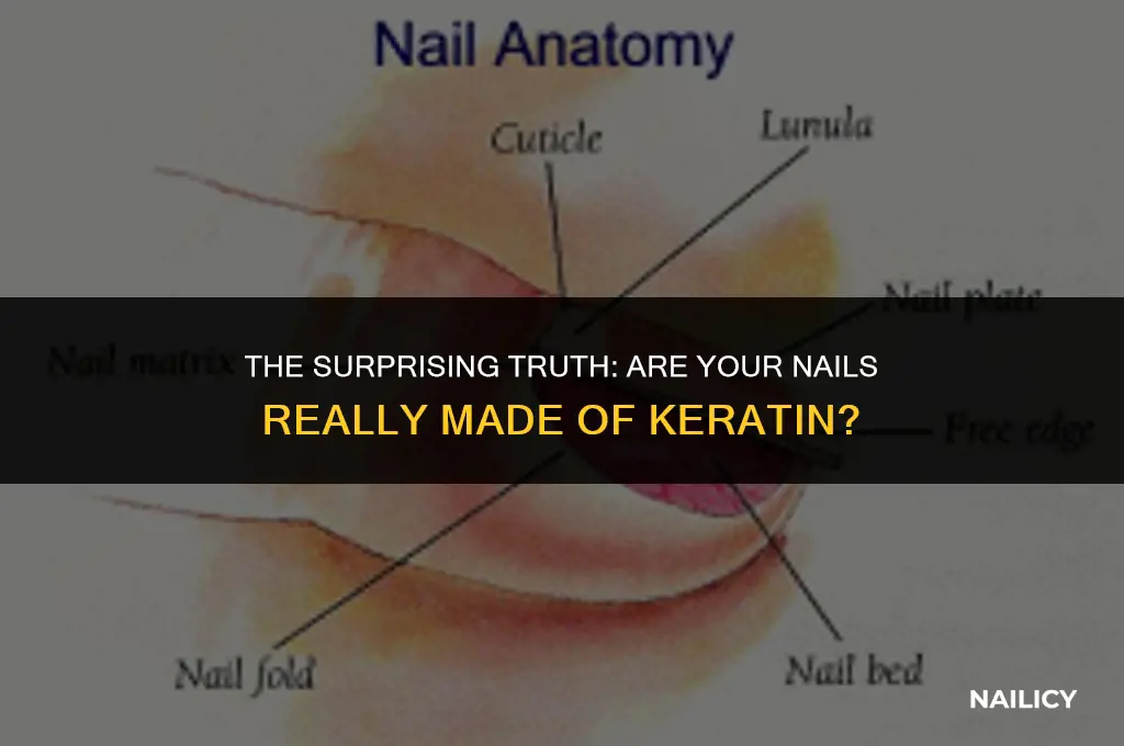 is nail made by keratin