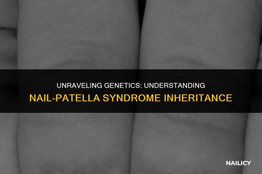 is nail-patella syndrome recessive