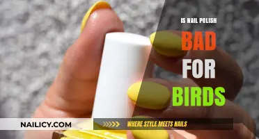 Is Nail Polish Harmful to Birds? A Comprehensive Guide
