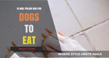 Is Nail Polish Toxic for Dogs? Risks and Safety Tips