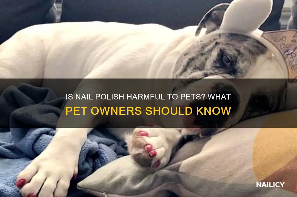 is nail polish bad for pets