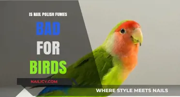 Are Nail Polish Fumes Harmful to Your Pet Birds?