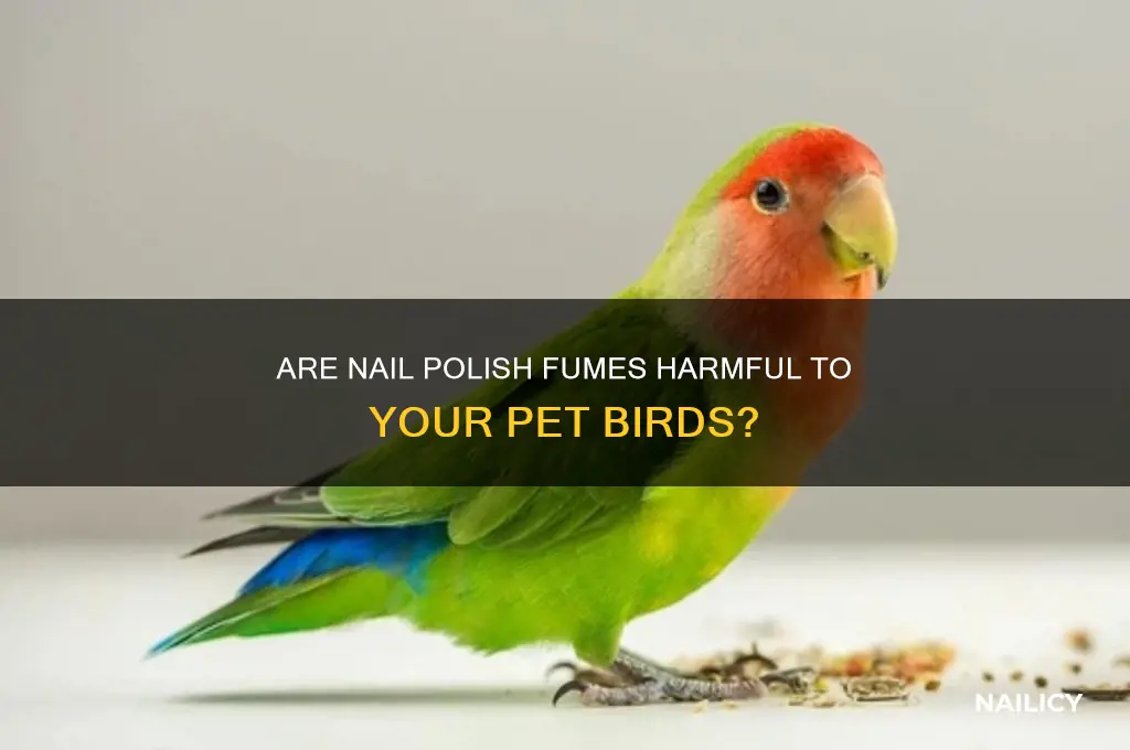 is nail polish fumes bad for birds