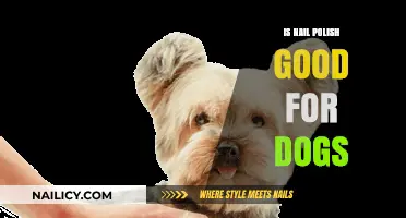 Is Nail Polish Safe for Dogs? A Pet Owner's Guide