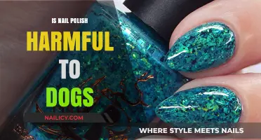 Is Nail Polish Harmful to Dogs? What Pet Owners Should Know