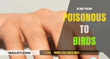 Is Nail Polish Toxic to Birds? Safety Tips for Pet Owners
