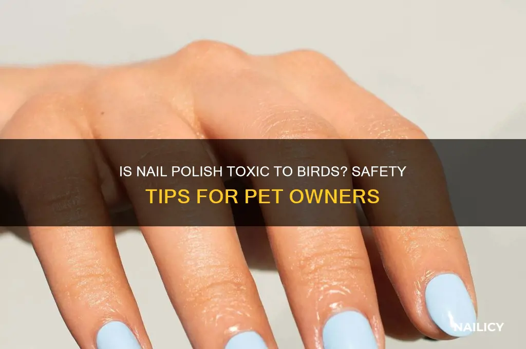 is nail polish poisonous to birds