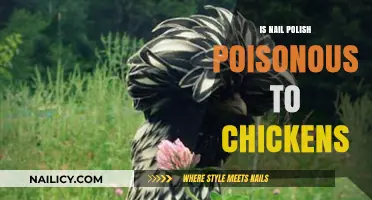 Is Nail Polish Toxic to Chickens? Safety Concerns Explained