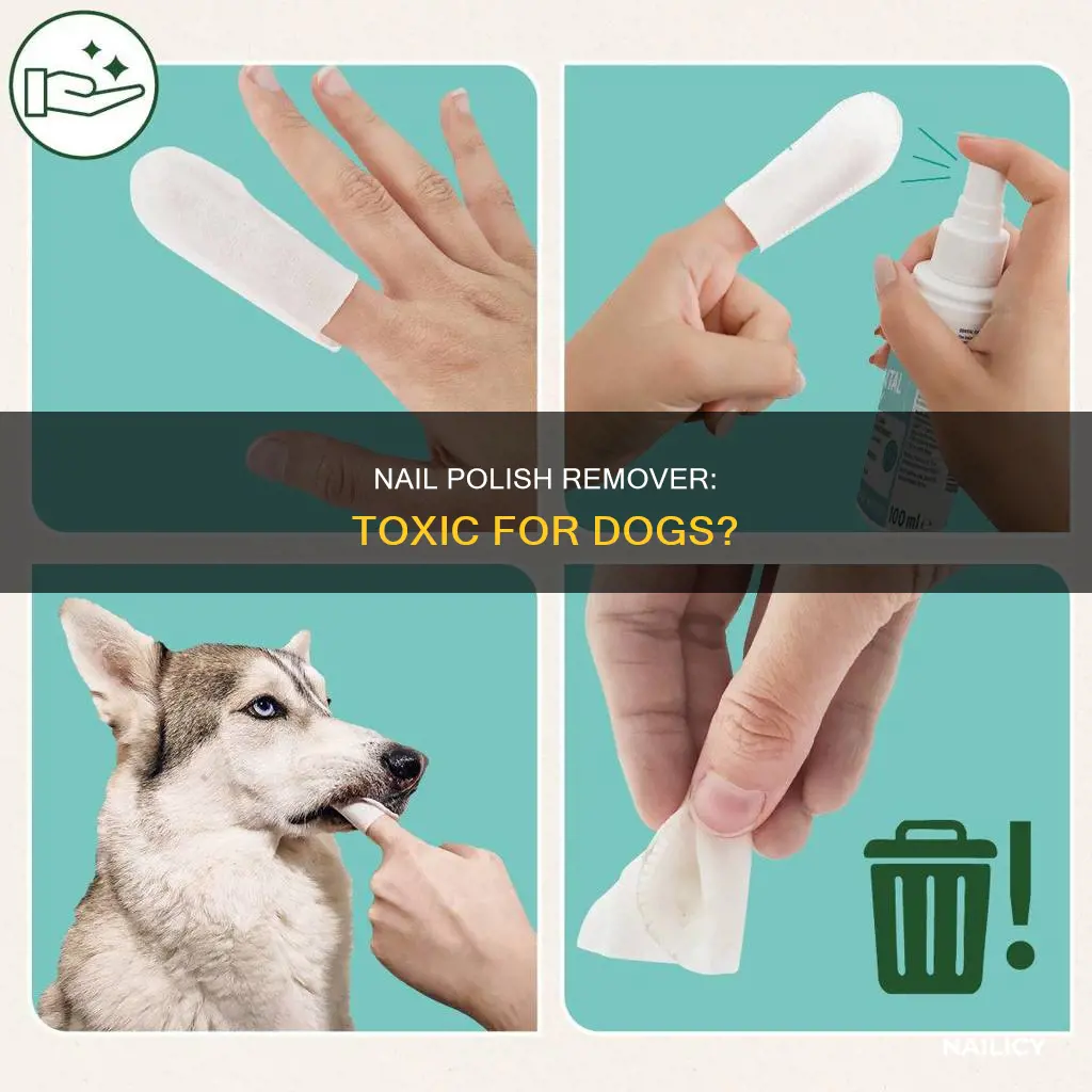 is nail polish remover bad for dogs
