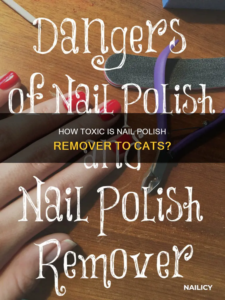 is nail polish remover toxic to cats