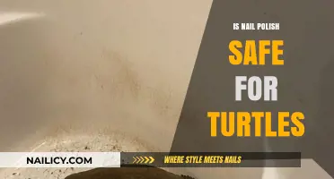 Is Nail Polish Safe for Turtles? A Comprehensive Guide