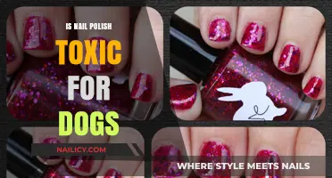 Is Nail Polish Toxic for Dogs? A Pet Safety Guide