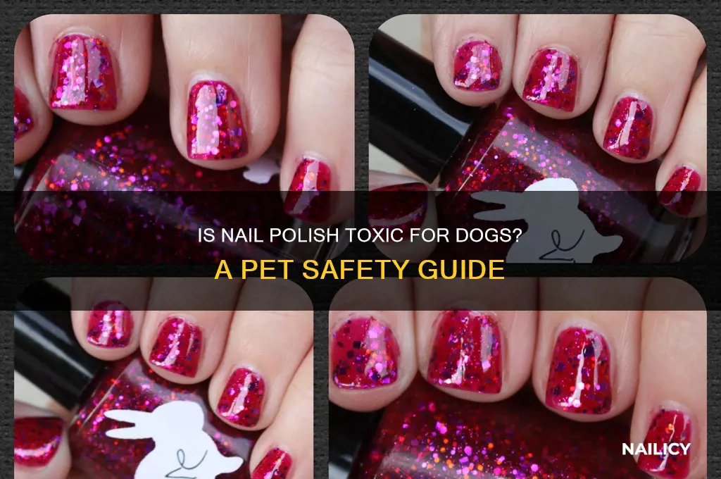 is nail polish toxic for dogs