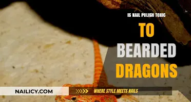 Is Nail Polish Safe for Bearded Dragons? Toxicity Explained