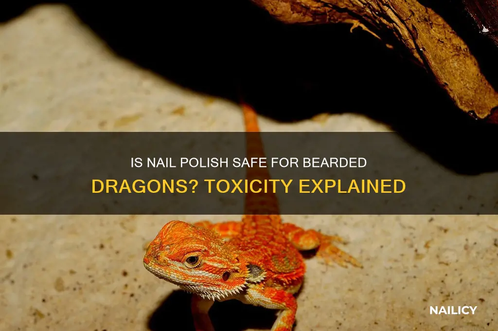 is nail polish toxic to bearded dragons