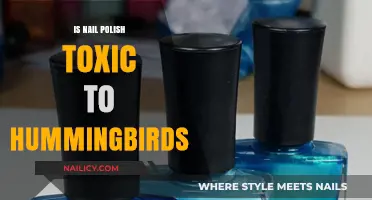 Is Nail Polish Harmful to Hummingbirds? Uncovering the Toxic Truth