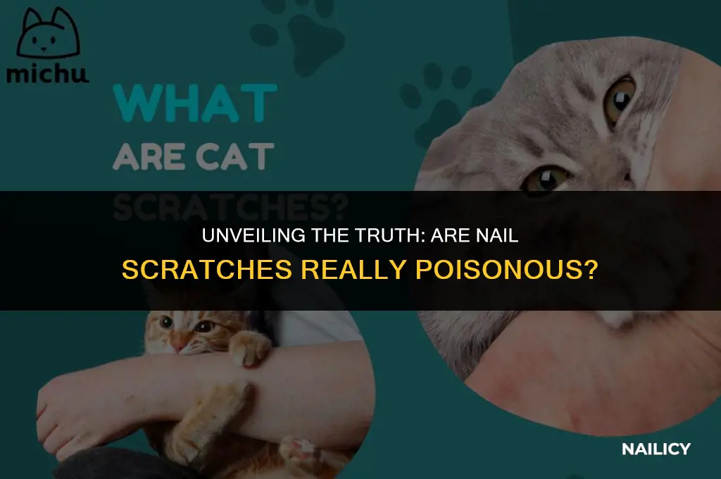 is nail scratch poisonous