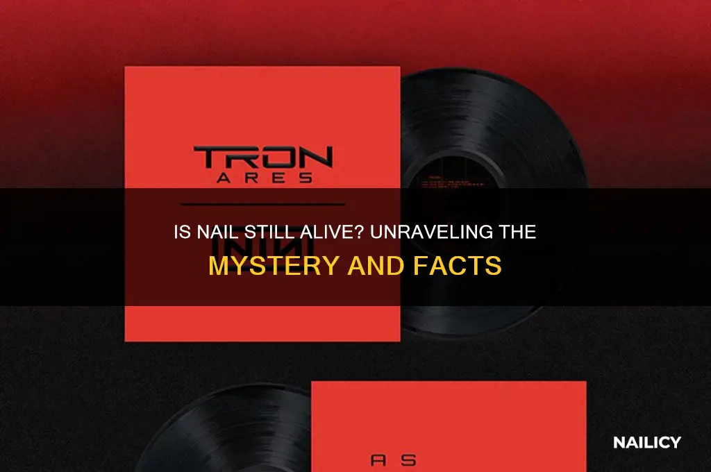 is nail still alive