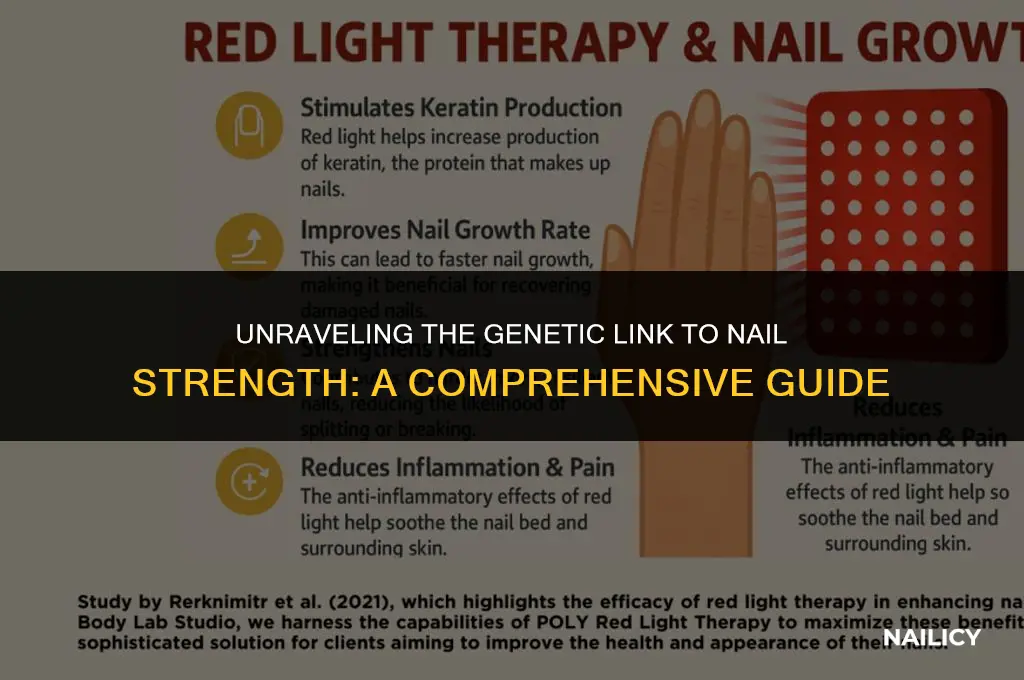 is nail strength genetic