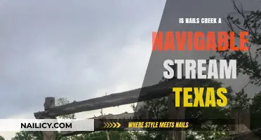 Is Nails Creek in Texas Legally Navigable? Exploring the Stream's Status