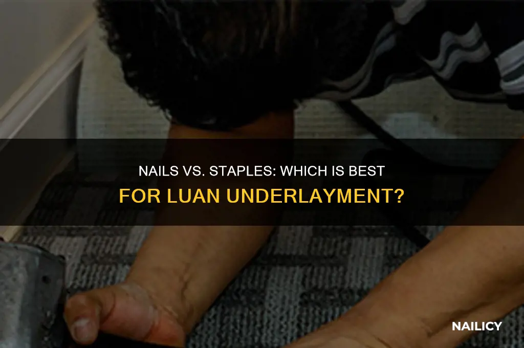 is nails or staples better for luan underlayment
