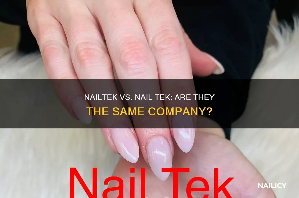 is nailtek the same compzny as nail tek