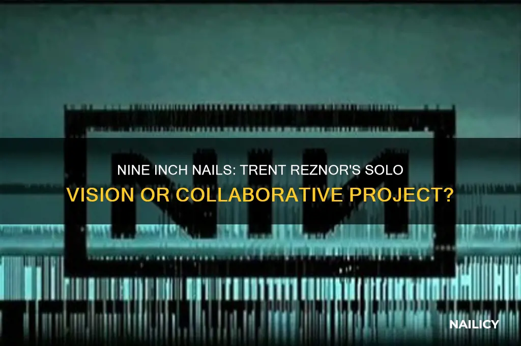 is nine inch nails just trent reznor