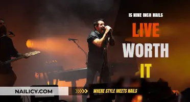 Nine Inch Nails Live: Is the Experience Worth Your Time?