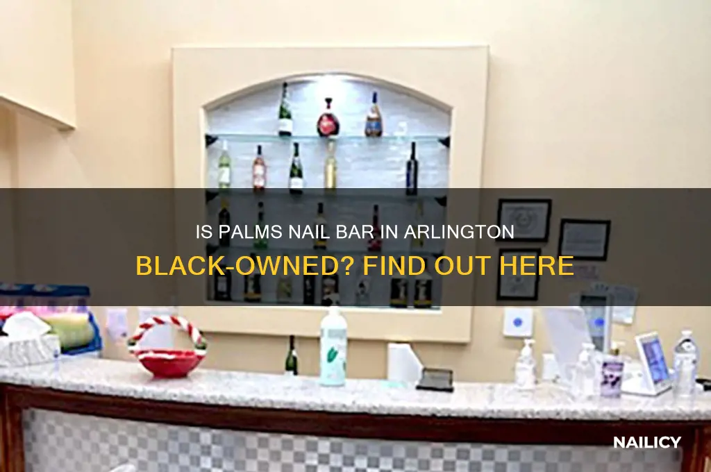 is palms nail bar arlington black owned